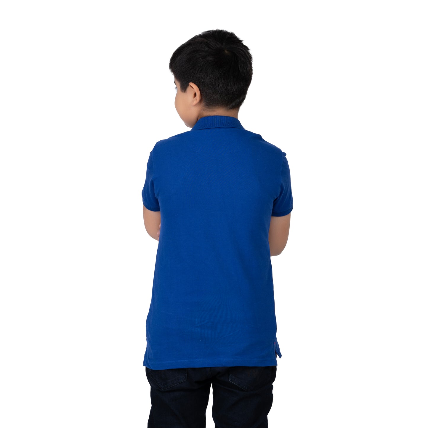 Boys Blue Polo T-Shirt with Lion Print | Casual Wear (2–16 Years)